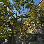 Casa Limone *