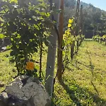 Lägenhet Casa Limone