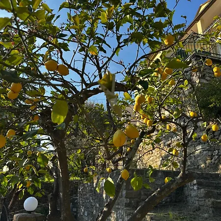 Casa Limone *