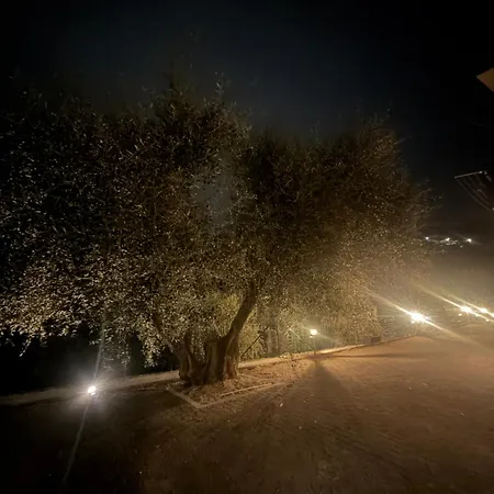 Casa Limone *