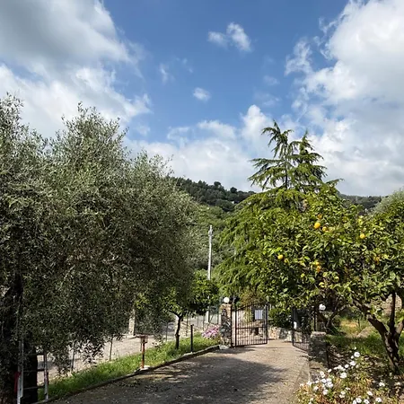 Casa Limone 公寓 Diano San Pietro