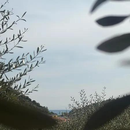 Casa Limone 公寓 Diano San Pietro