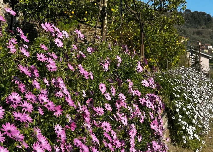 Casa Limone * Diano San Pietro