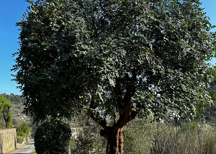 Casa Limone Diano San Pietro