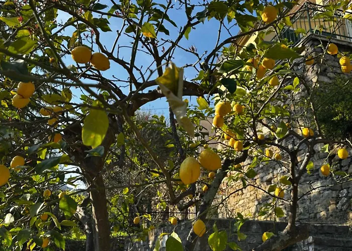 Casa Limone *