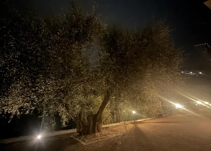 Casa Limone *